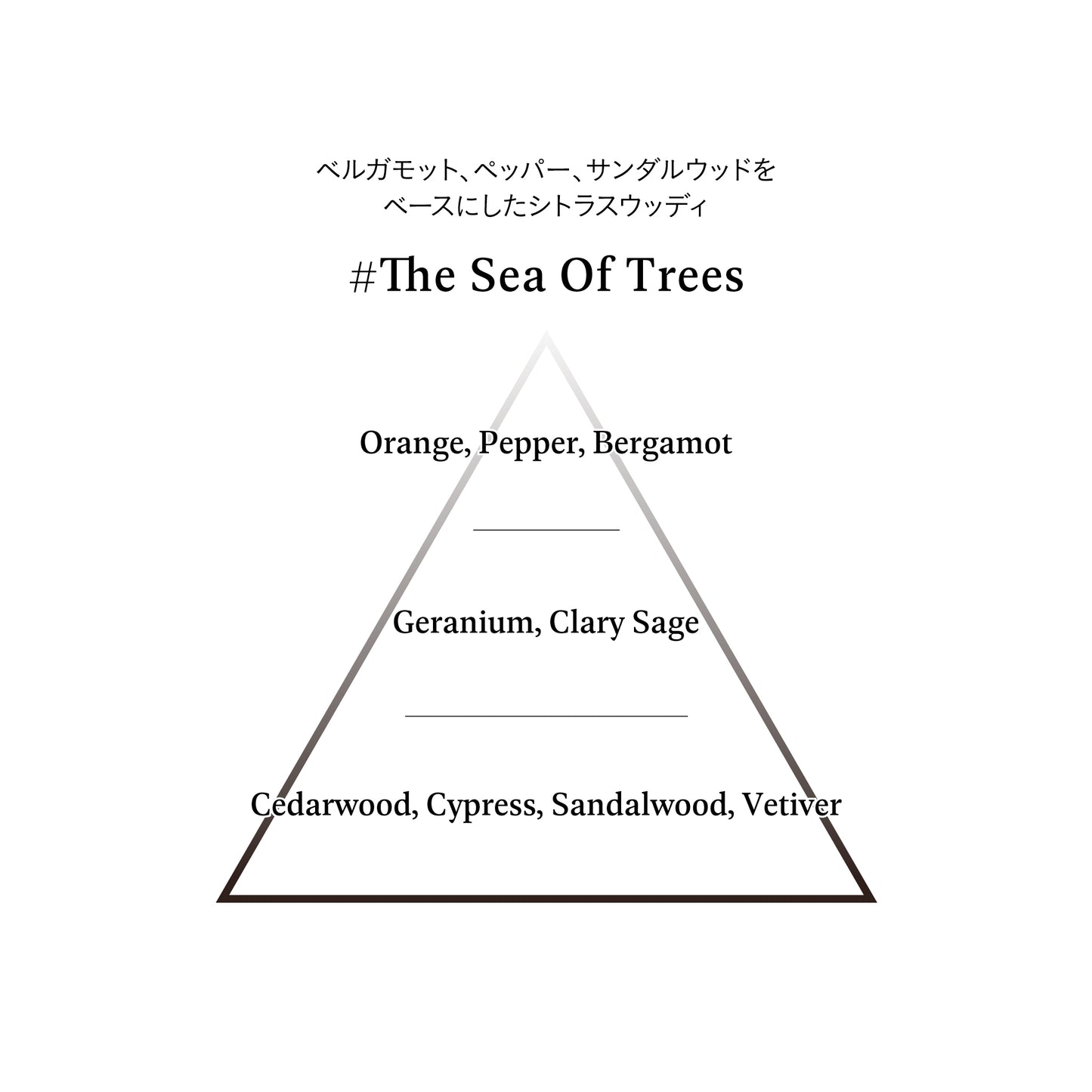 Sound Skin Perfume #The Sea Of Trees